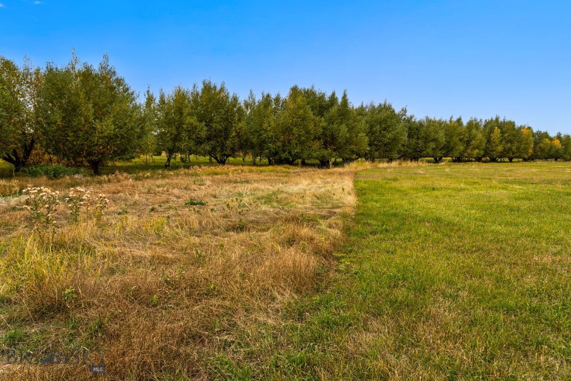 Tbd 19th Avenue Property Photo 38