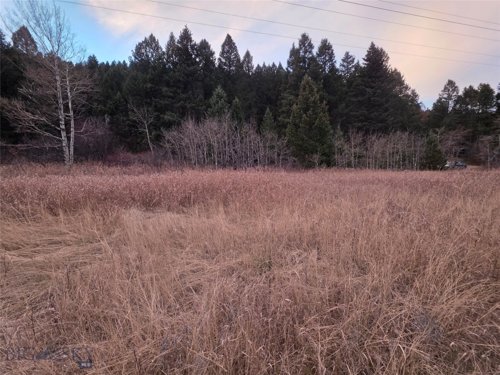 29 Old Hell Roaring Trail Property Photo 15