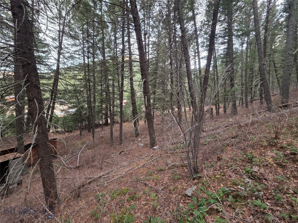 29 Old Hell Roaring Trail Property Photo 16