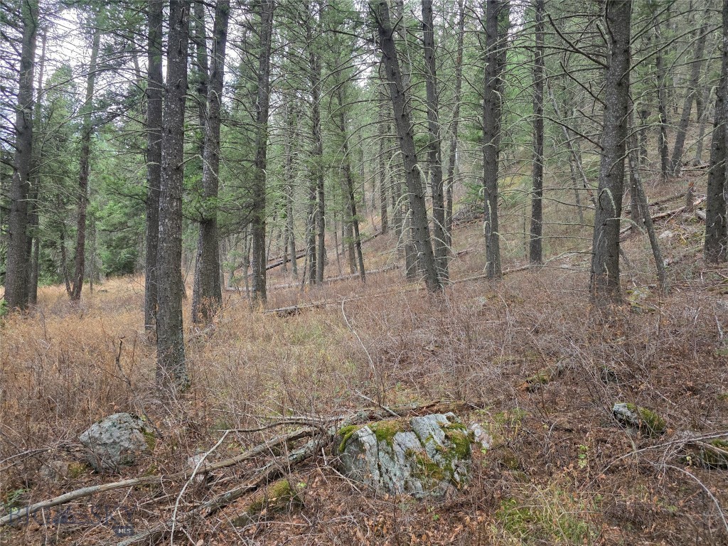 29 Old Hell Roaring Trail Property Photo 17