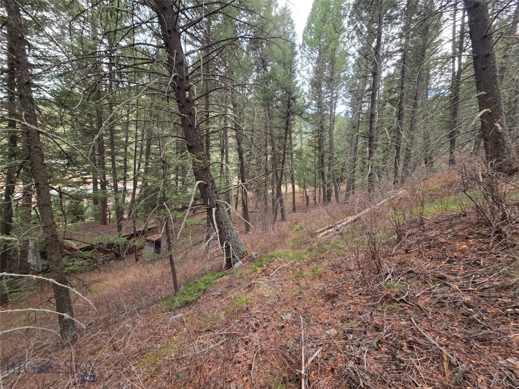 29 Old Hell Roaring Trail Property Photo 33