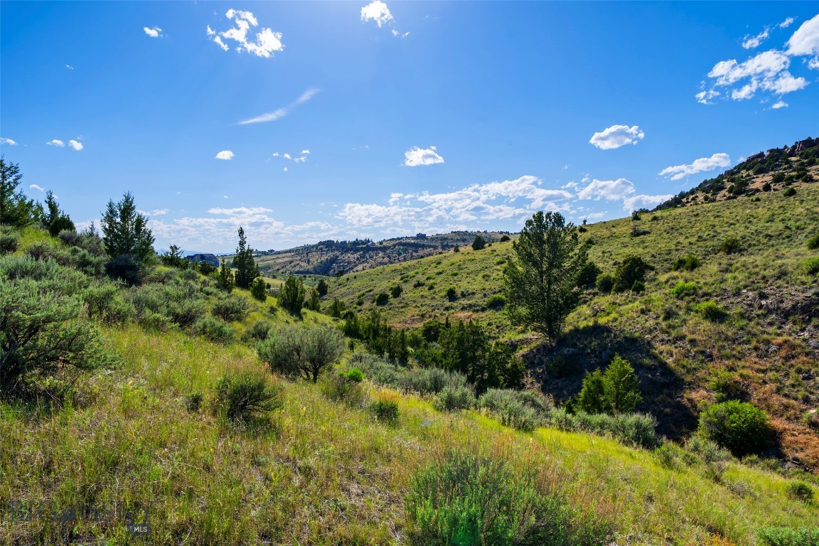 Tbd Horse Castle Road Property Photo 45