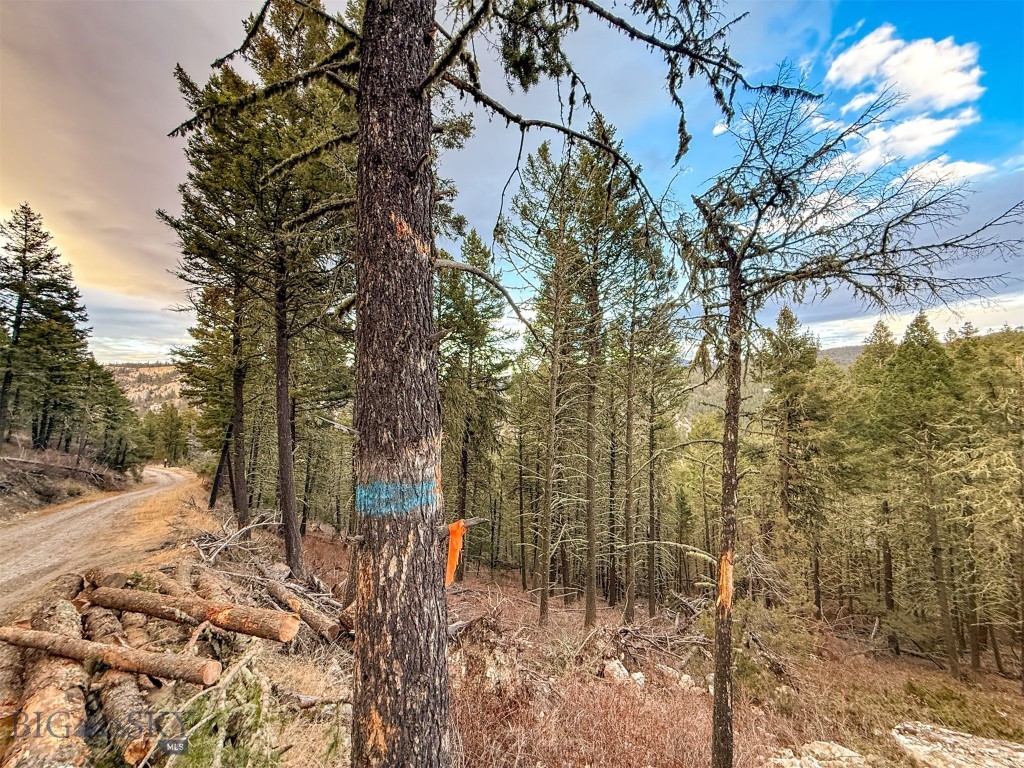 0 Two Creeks Road Property Photo 24