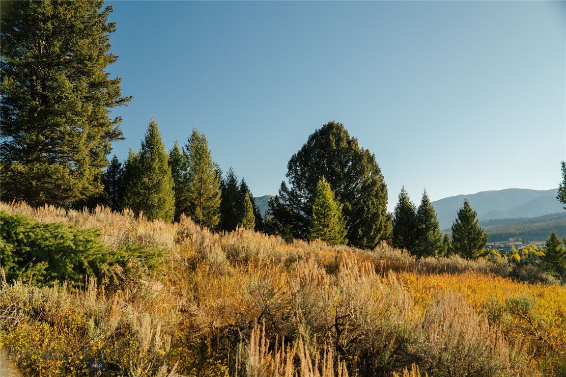 Lot 5 Upper Whitefish Drive Property Photo 7