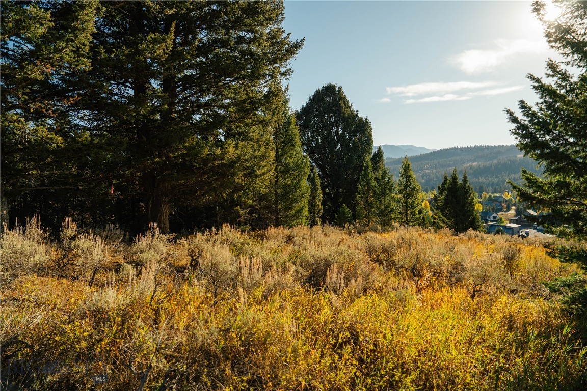 Lot 5 Upper Whitefish Drive Property Photo 11