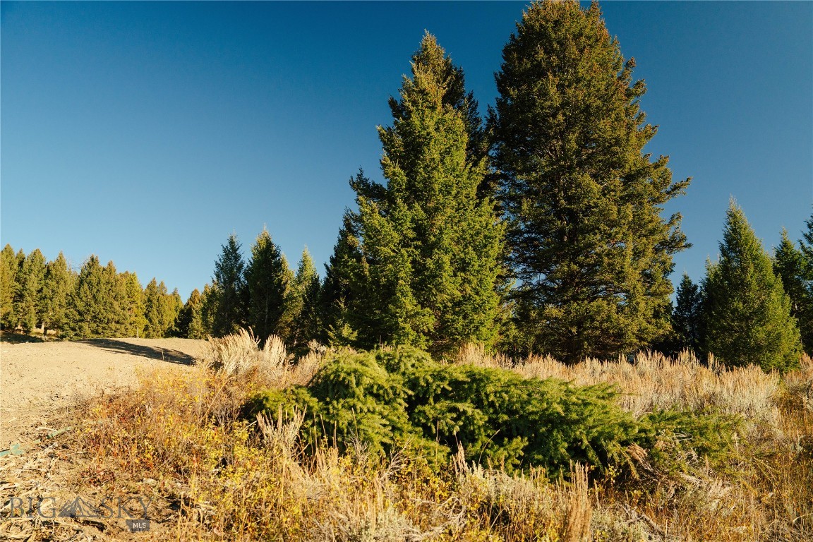 Lot 5 Upper Whitefish Drive Property Photo 13
