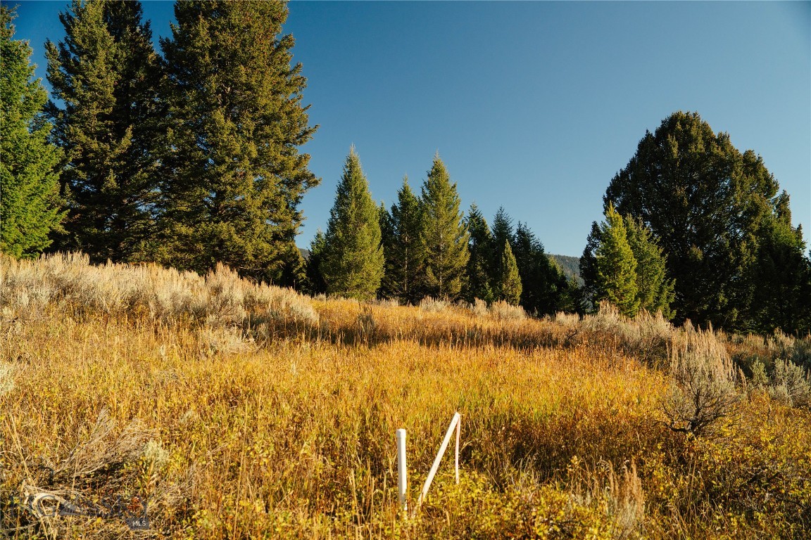 Lot 5 Upper Whitefish Drive Property Photo 14