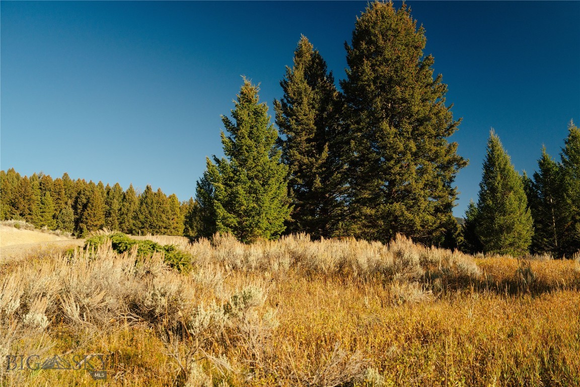 Lot 5 Upper Whitefish Drive Property Photo 15