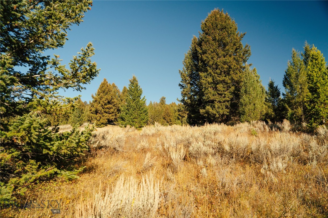 Lot 5 Upper Whitefish Drive Property Photo 17