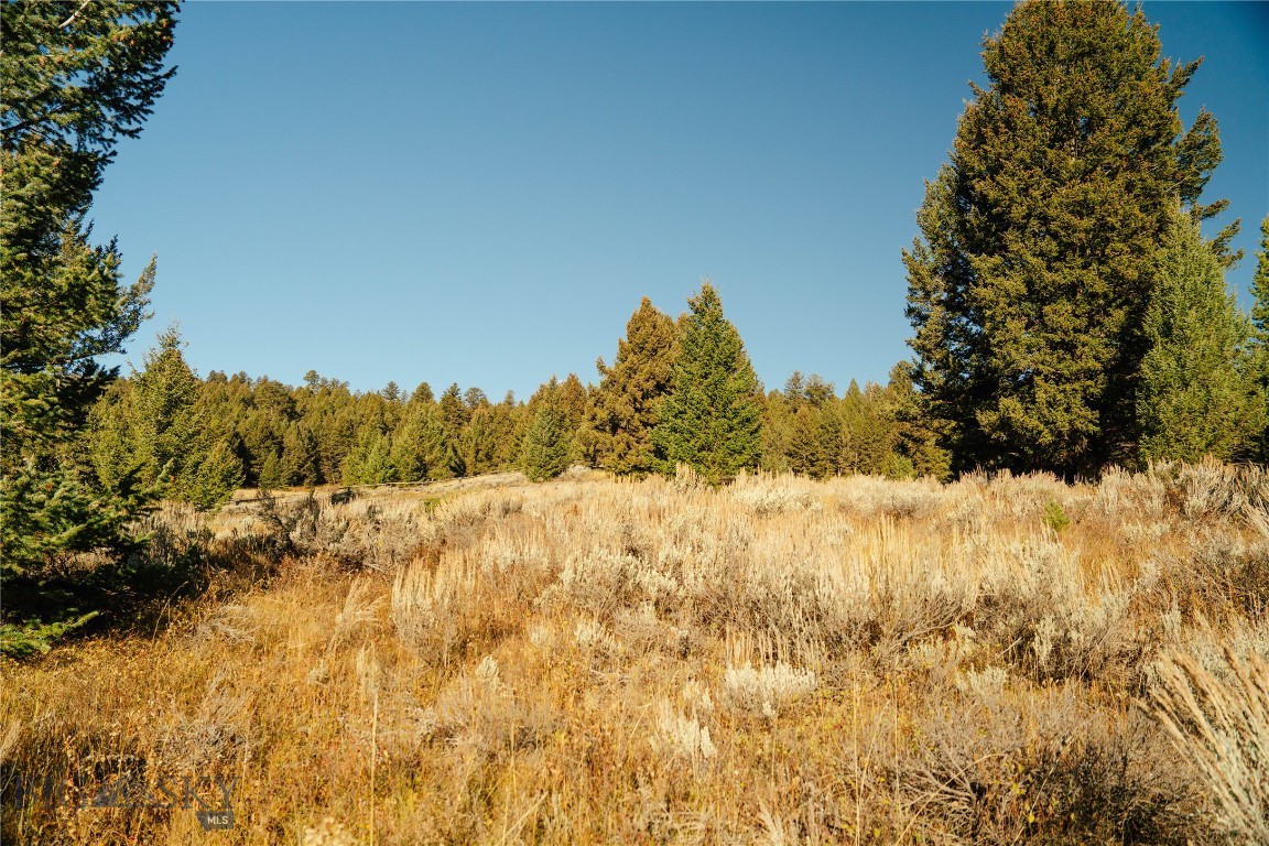 Lot 5 Upper Whitefish Drive Property Photo 18