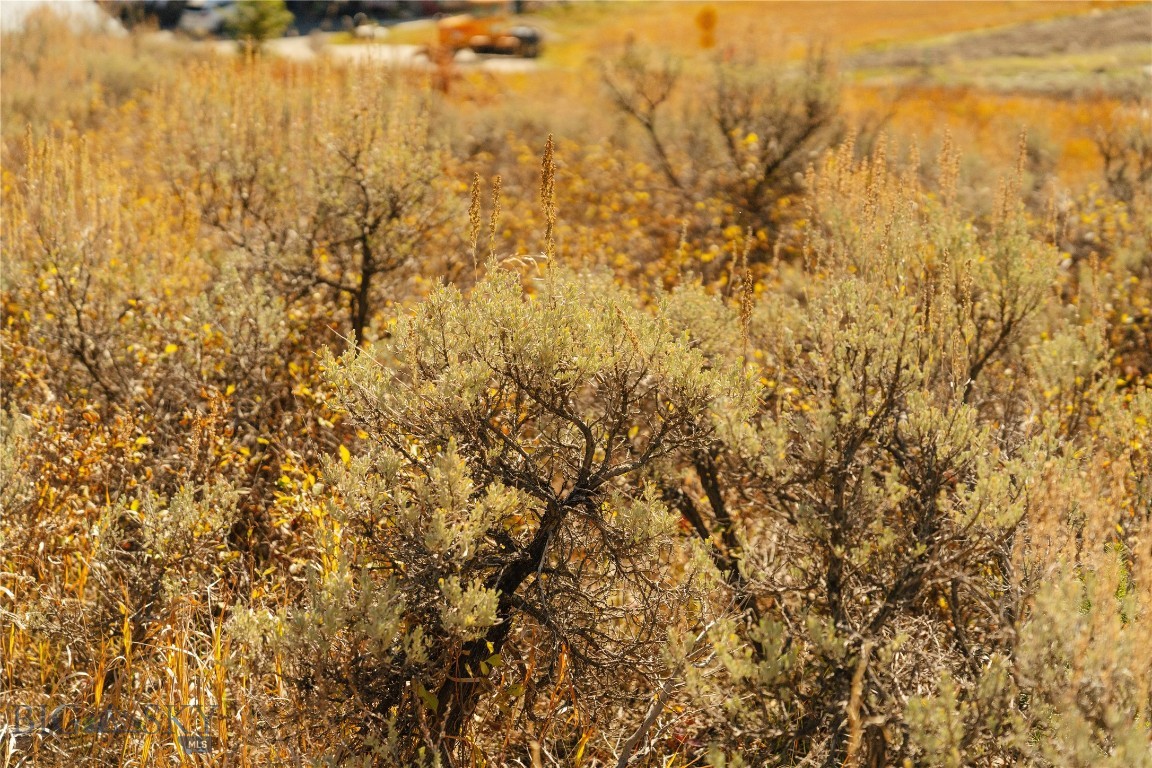 Lot 20 Upper Whitefish Drive Property Photo 12
