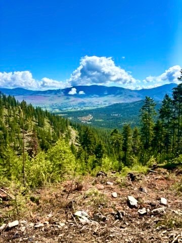 0 W Fork Combest Creek Road Property Photo 37