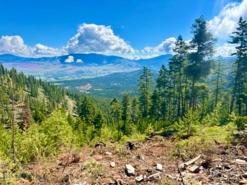 0 W Fork Combest Creek Road Property Photo 38