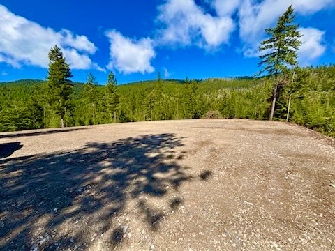 0 W Fork Combest Creek Road Property Photo 39