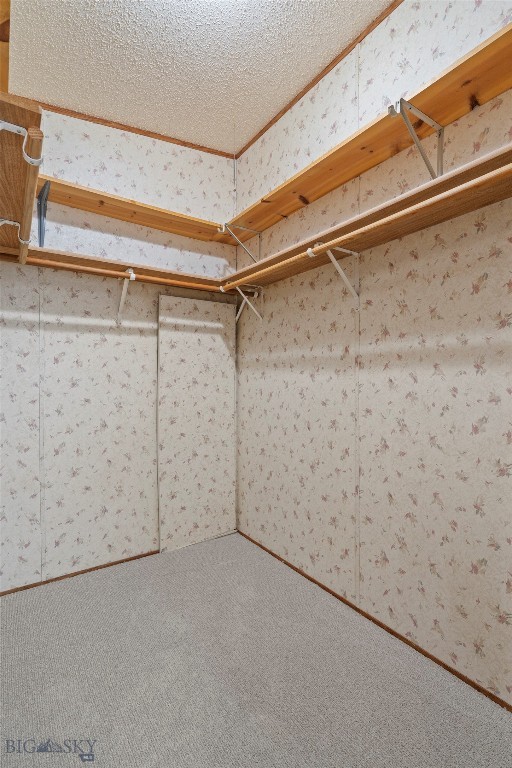 378 Hereford Property Photo 35