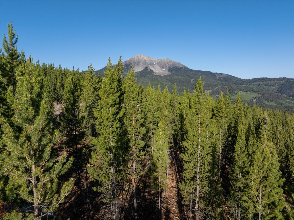 Tbd Sawtooth Road Lot 10 Property Photo 6