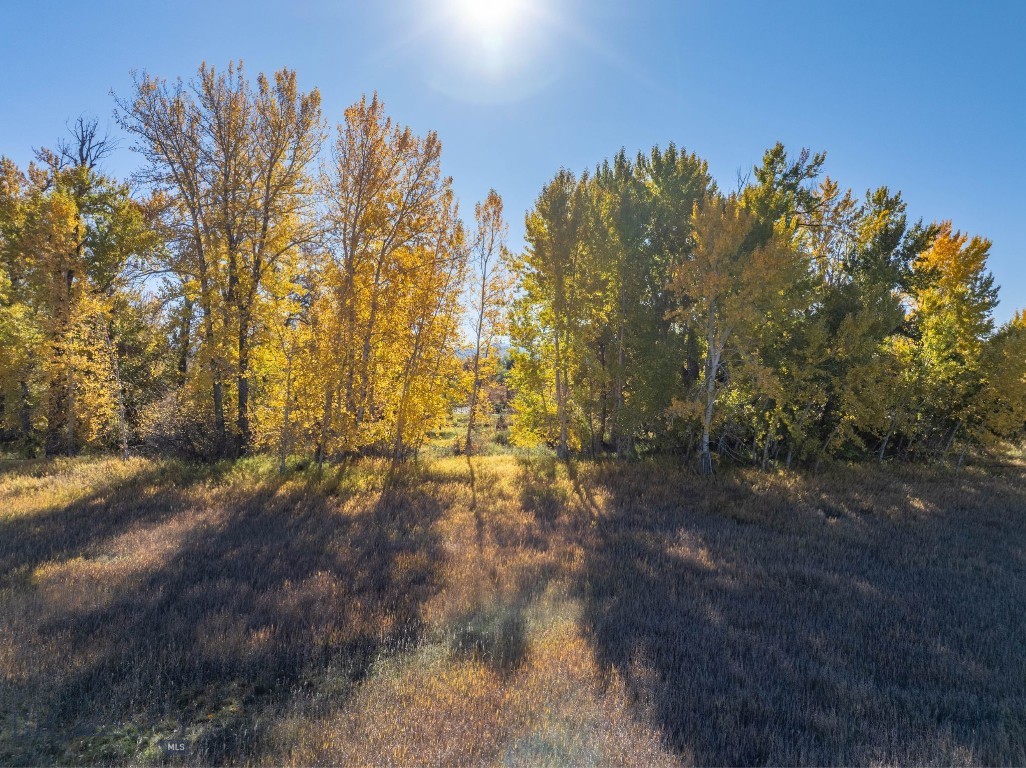 3 Mallard Lane Property Photo 11