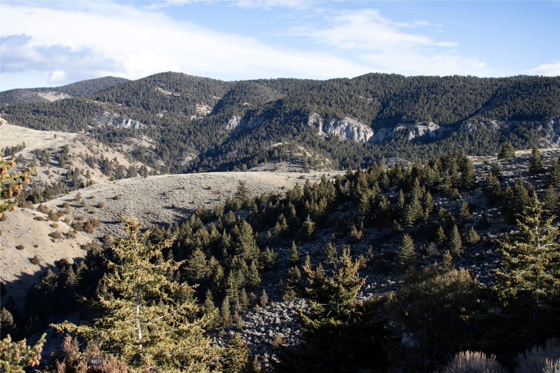 Lot 330 Lone Wolf Trail
