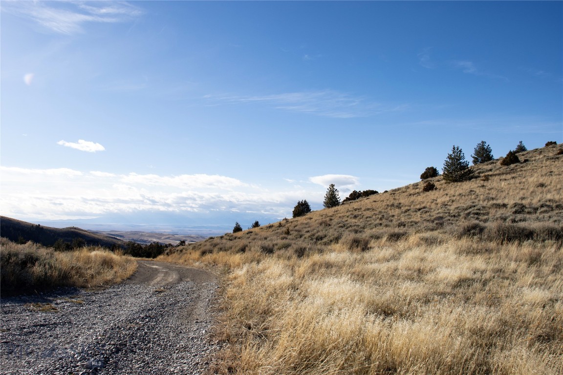 Lot 330 Lone Wolf Trail Property Photo 2