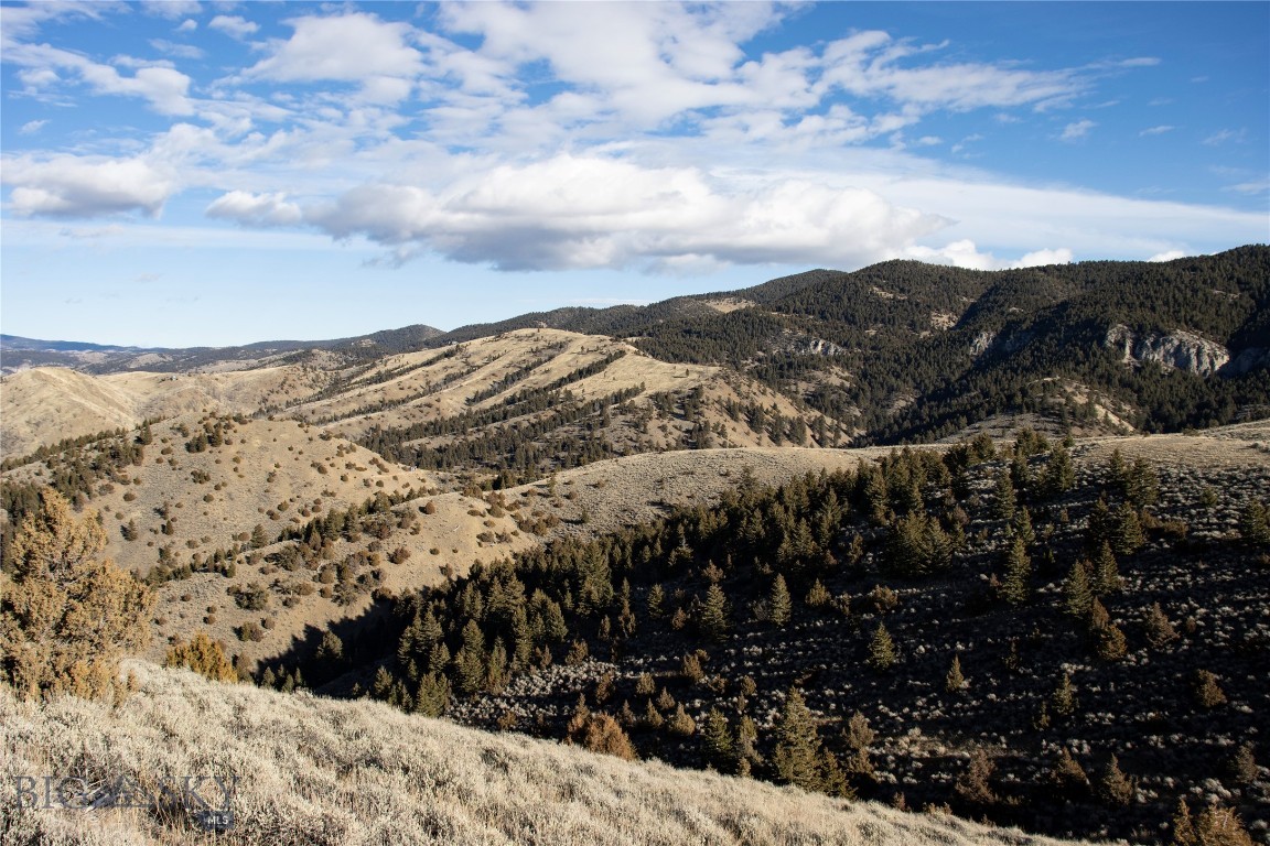 Lot 330 Lone Wolf Trail Property Photo 8