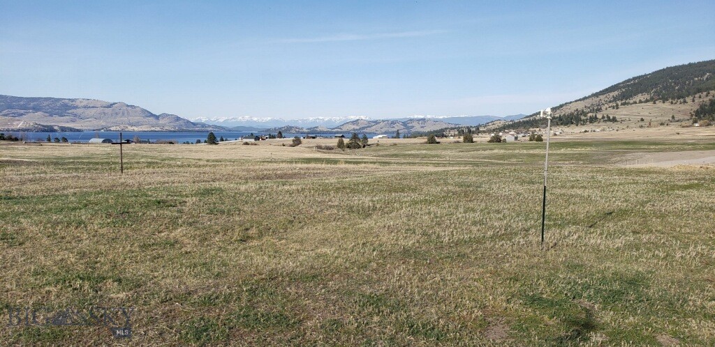 29068 Walking Horse Lane Property Photo 14