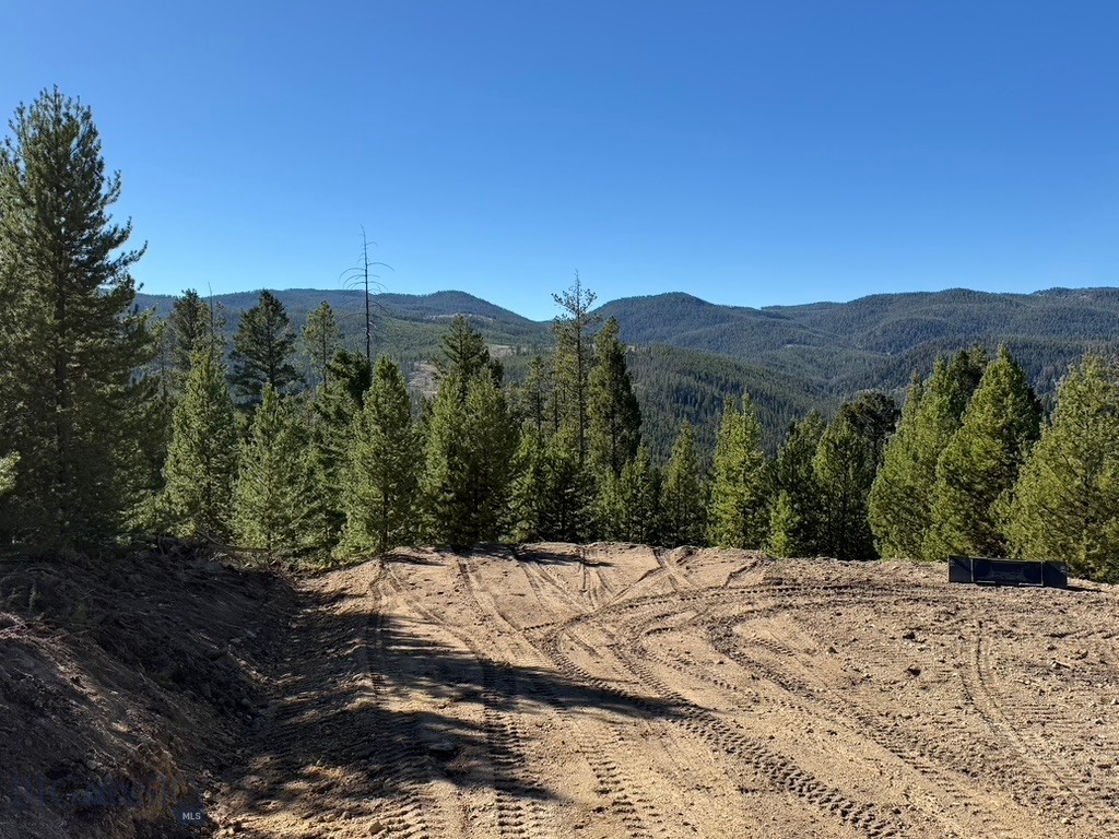 Lot 2 Ruby Mine Road Property Photo 3