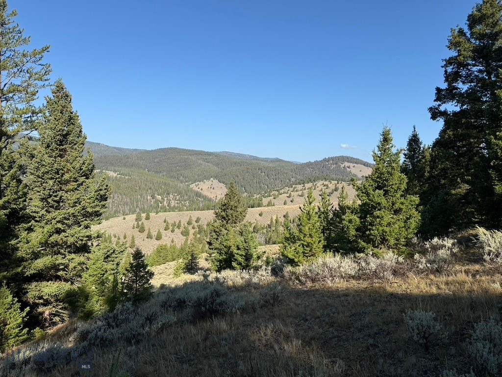 Lot 2 Ruby Mine Road Property Photo 4