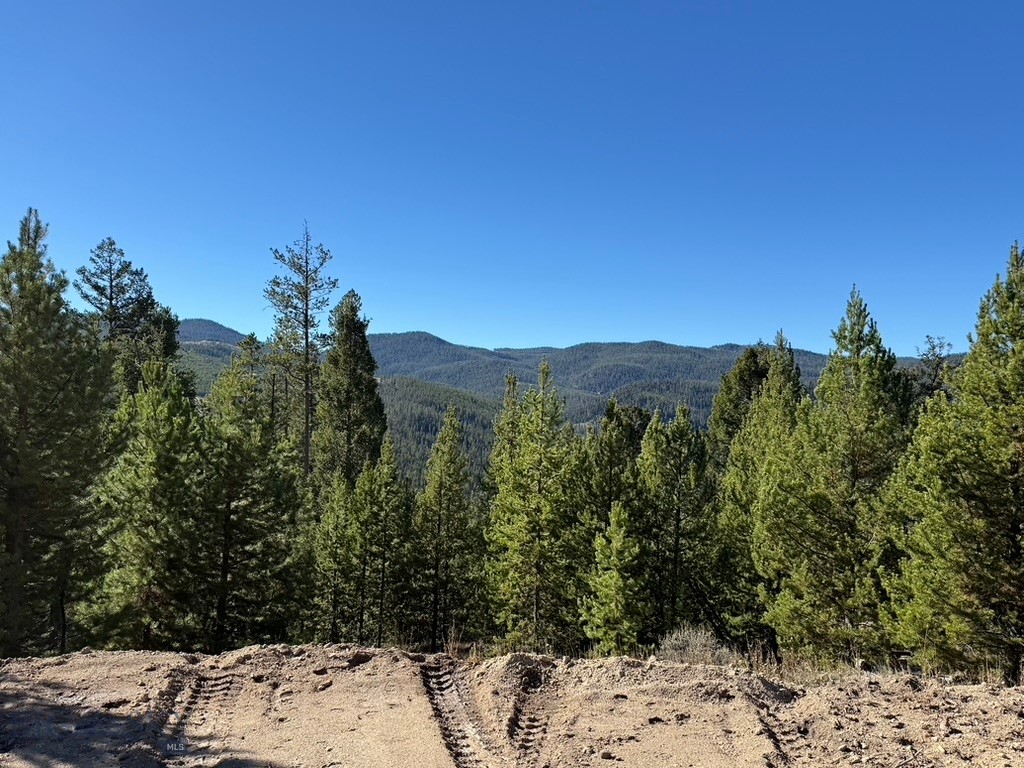 Lot 2 Ruby Mine Road Property Photo 9