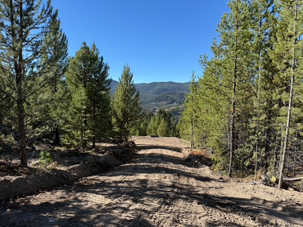 Lot 2 Ruby Mine Road Property Photo 10