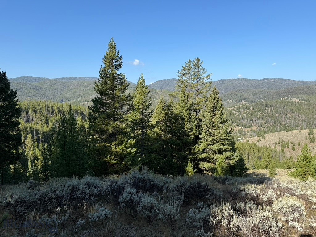 Lot 2 Ruby Mine Road Property Photo 11
