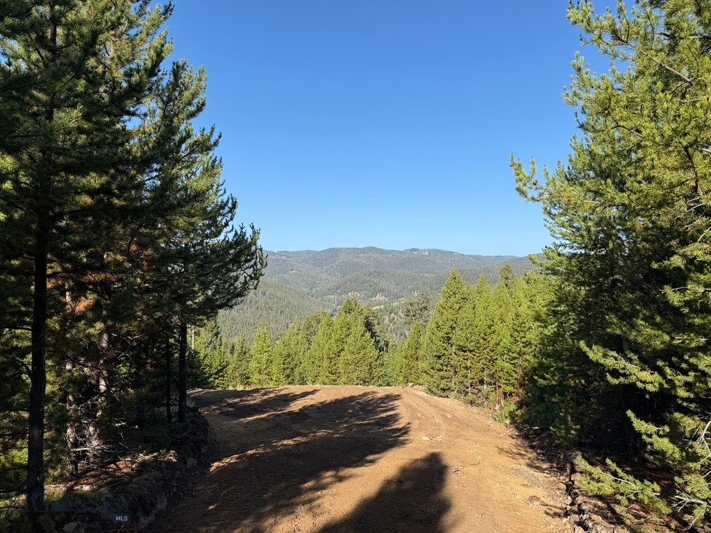 Lot 2 Ruby Mine Road Property Photo 19