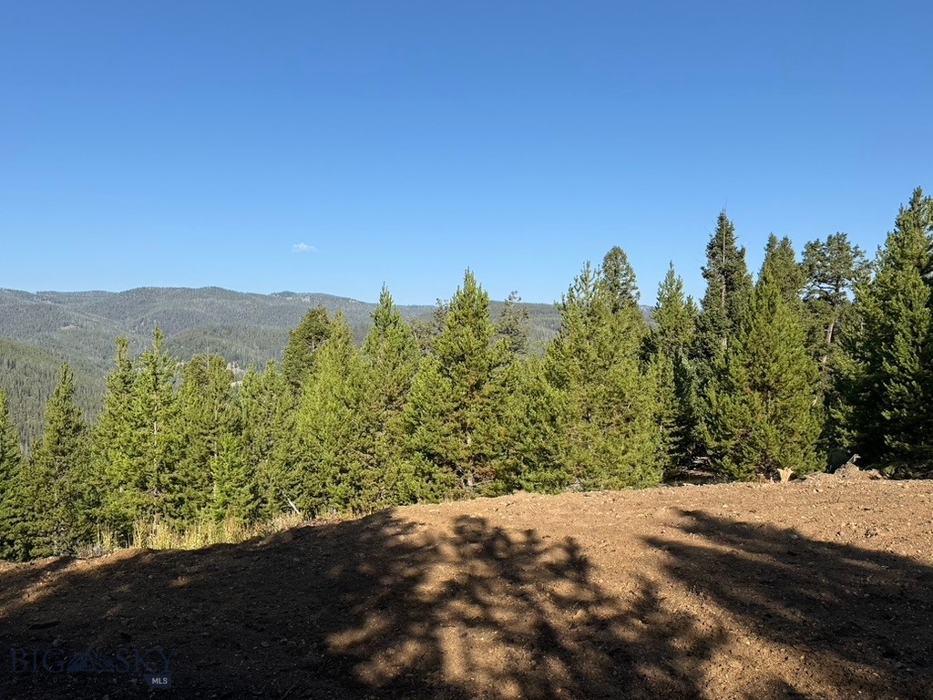 Lot 2 Ruby Mine Road Property Photo 21