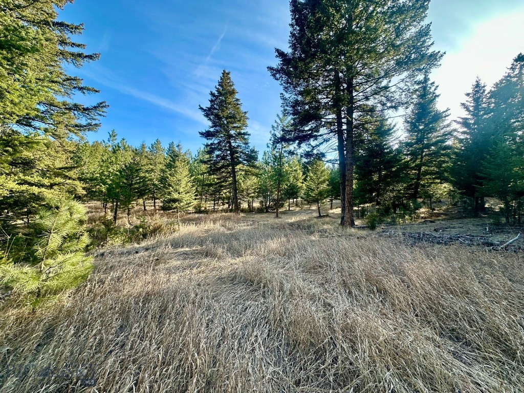 TBD Martinez Gulch Road Property Photo 1