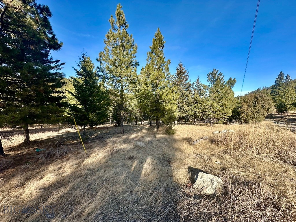 Tbd Martinez Gulch Road Property Photo 2