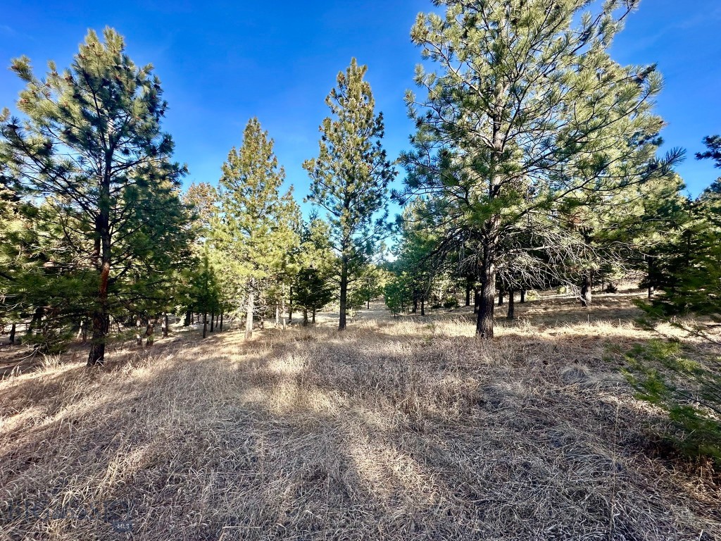 Tbd Martinez Gulch Road Property Photo 3