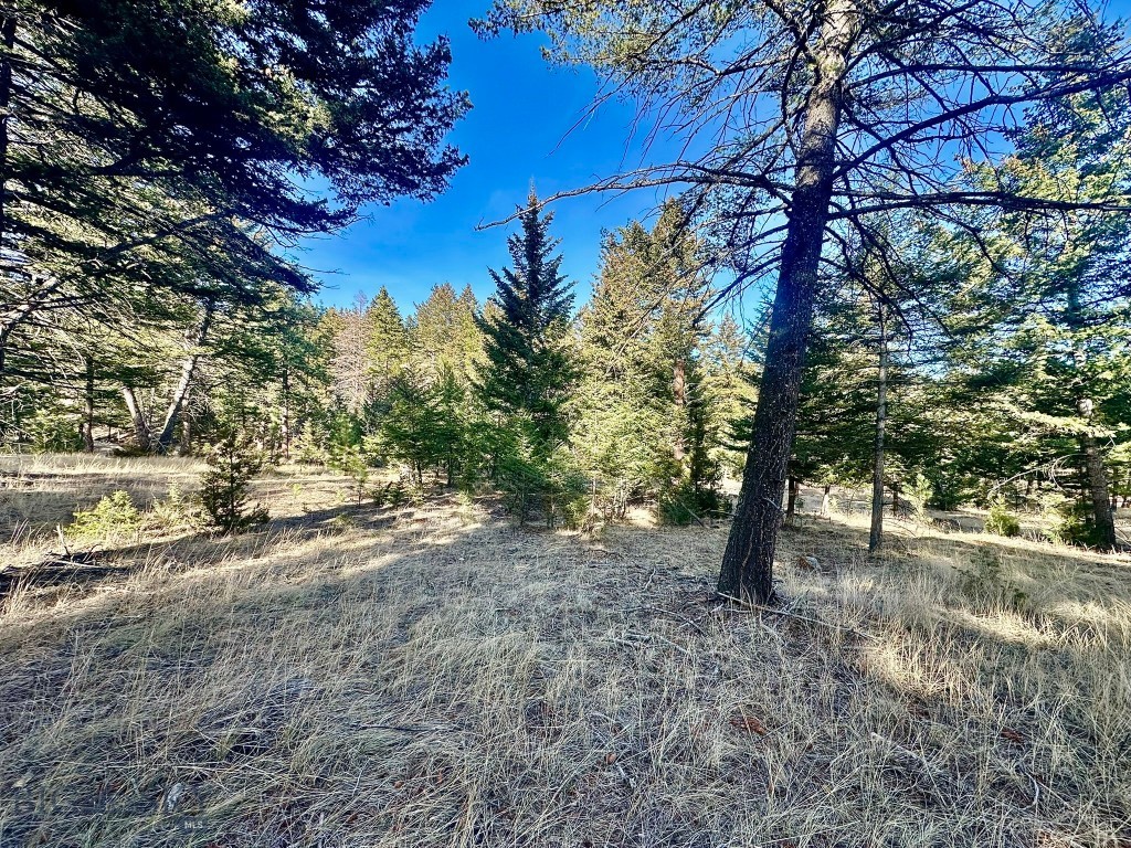 Tbd Martinez Gulch Road Property Photo 4