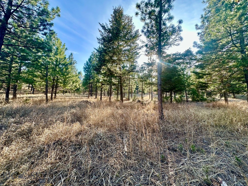 Tbd Martinez Gulch Road Property Photo 6