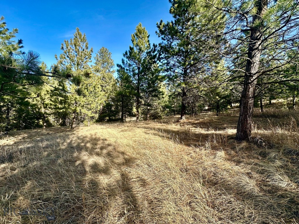 Tbd Martinez Gulch Road Property Photo 7