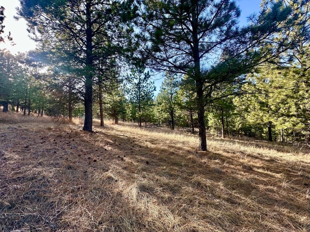 Tbd Martinez Gulch Road Property Photo 8