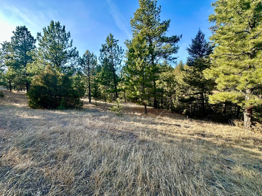 Tbd Martinez Gulch Road Property Photo 9