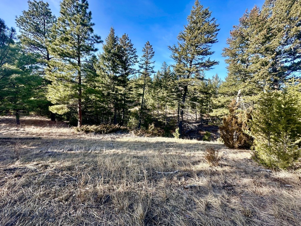 Tbd Martinez Gulch Road Property Photo 10