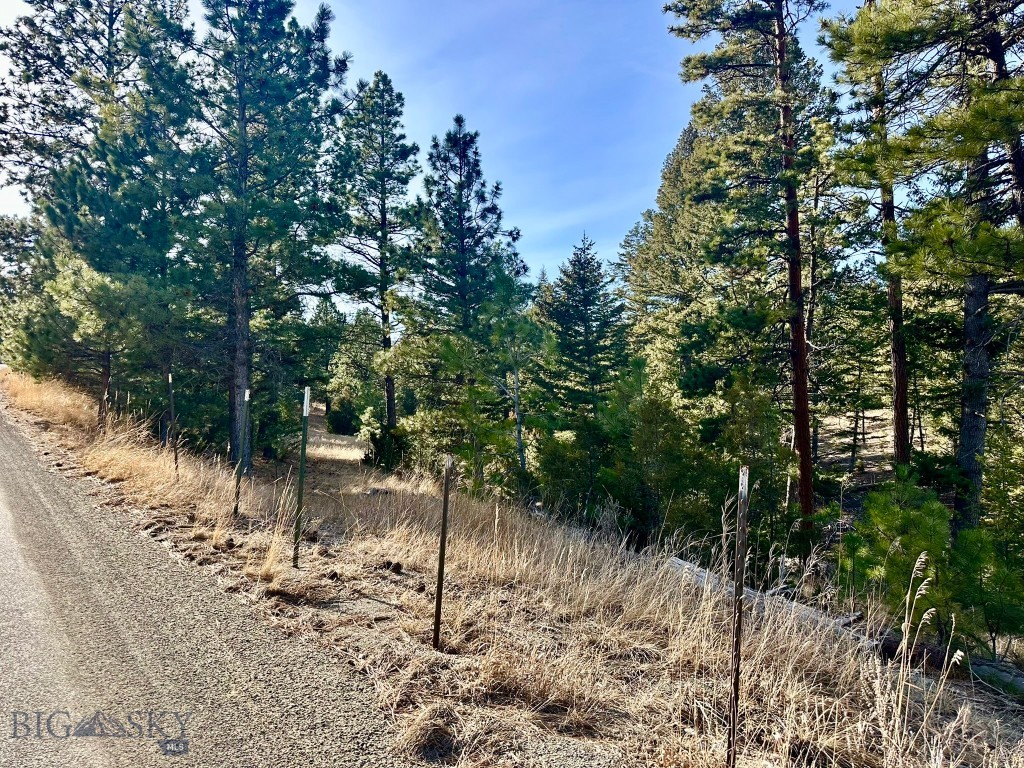 Tbd Martinez Gulch Road Property Photo 11