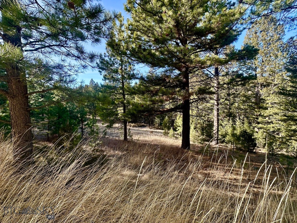 Tbd Martinez Gulch Road Property Photo 12