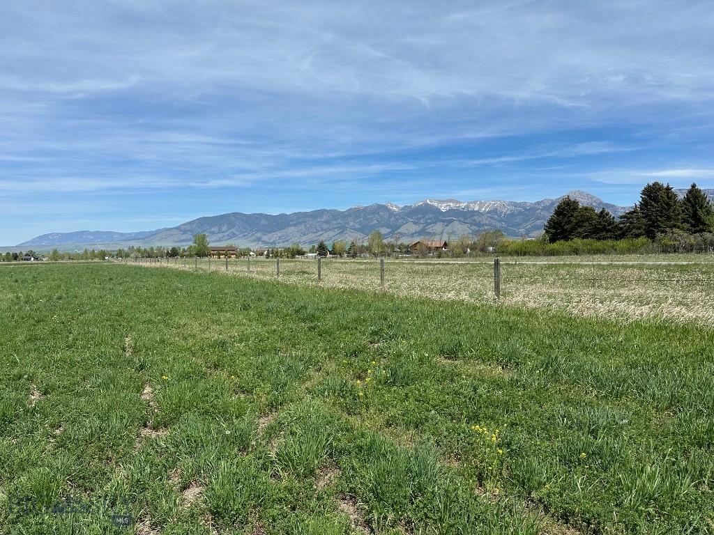 Tbd Springhill Property Photo 4