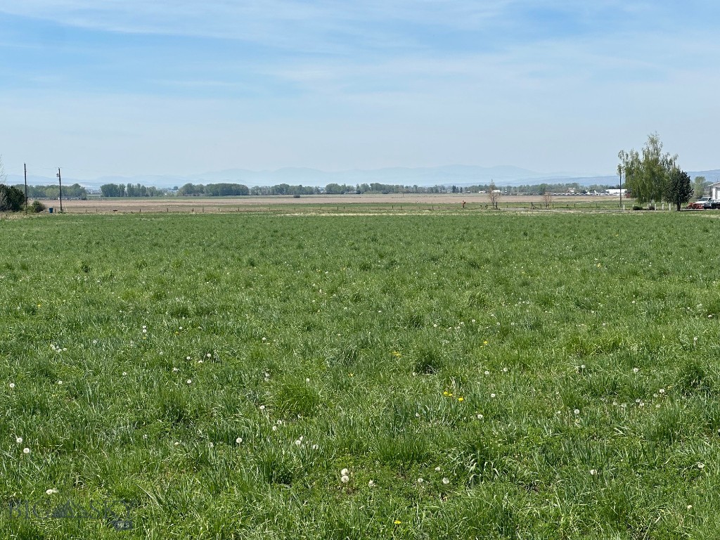 Tbd Springhill Property Photo 7