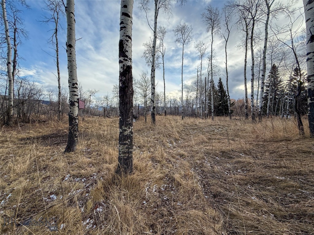 Tbd East Boulder Road Property Photo 8