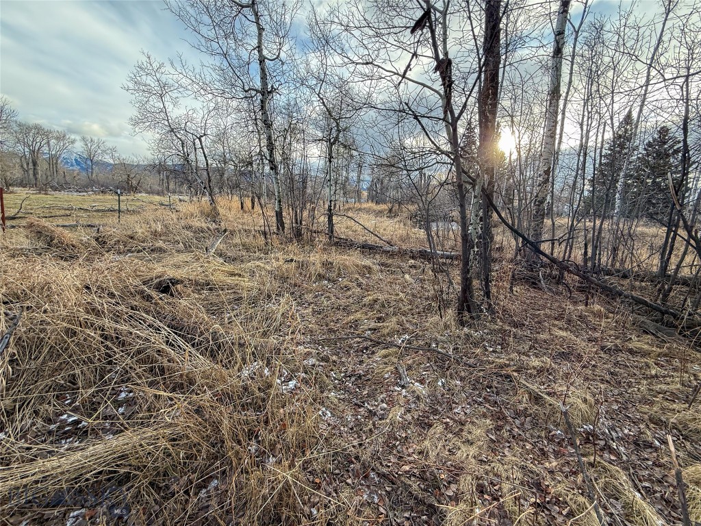 Tbd East Boulder Road Property Photo 11