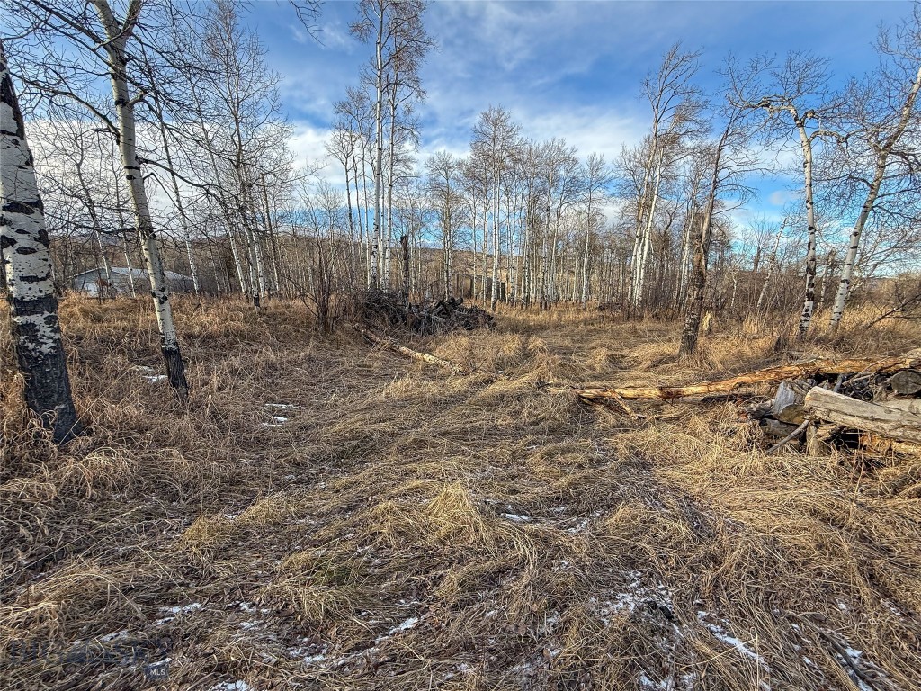 Tbd East Boulder Road Property Photo 13