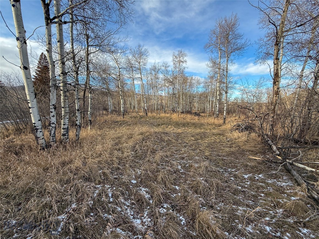 Tbd East Boulder Road Property Photo 14