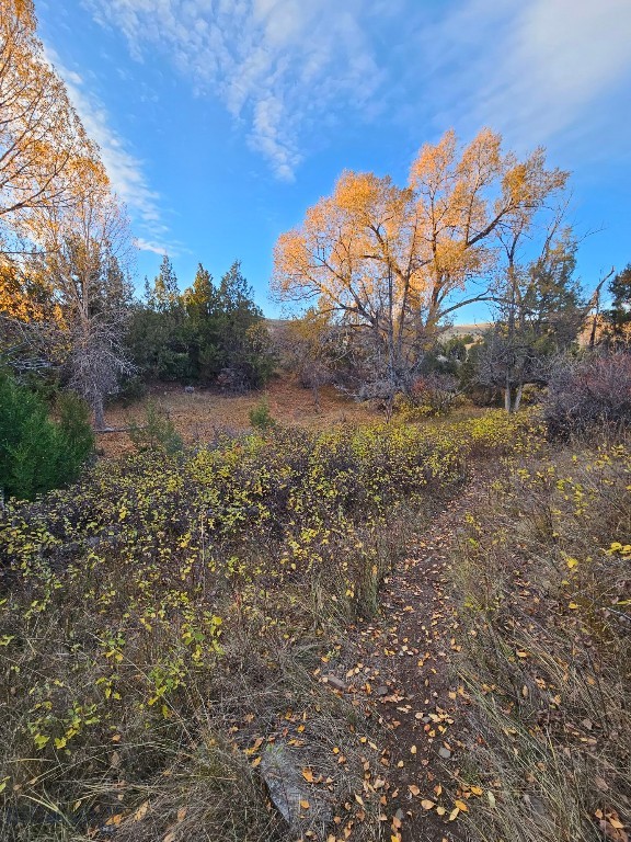 1590 Four Rivers Road Property Photo 39